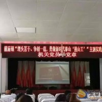 戴廟鎮(zhèn)開展“機(jī)關(guān)黨員學(xué)黨章” 集中學(xué)習(xí)活