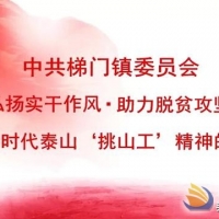 梯門鎮(zhèn)扎實(shí)開展好4月份“弘揚(yáng)實(shí)干作風(fēng)·助