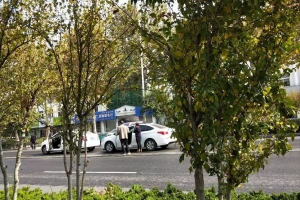 “狹路相逢” 東平這兩輛車一言不合就撞上了！