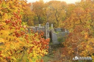 千萬別錯過！東平這個后花園美的不像話~