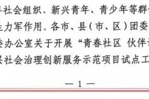 喜報(bào)！東平縣1個(gè)街道、1個(gè)社區(qū)成功入選“青春社區(qū) 伙伴計(jì)劃”示范項(xiàng)目試點(diǎn)