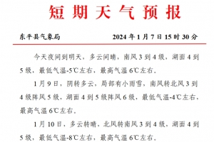 來了！東平2024年的第一場小雨雪！就在……