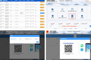 東平縣行政審批服務(wù)局企業(yè)檔案查詢“足不出戶” 助力政務(wù)服務(wù)“零跑腿”