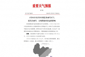 中到大雪局部暴雪！剛剛，東平發(fā)布重要天氣預報！