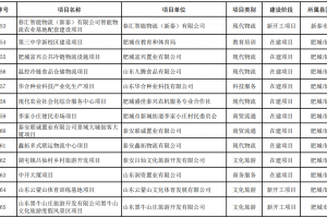 東平8個(gè)！泰安2024年度市服務(wù)業(yè)重點(diǎn)調(diào)度項(xiàng)目名單公布