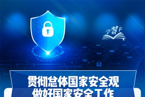 事關(guān)你我！一圖全解總體國(guó)家安全觀