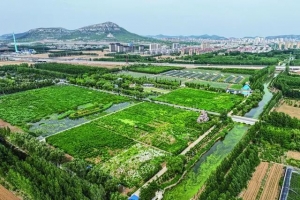 舍棄一時(shí)利益，換來(lái)鷗翔水美——山東東平湖生態(tài)蝶變一線觀察