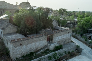 子路村