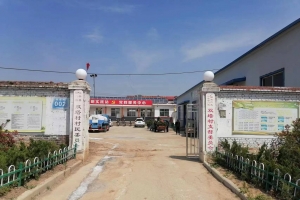 雙塔村