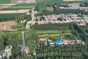 鳳凰臺(tái)村