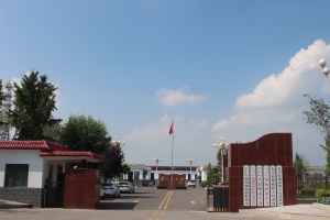 戴廟村