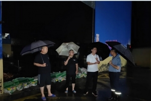 東平縣礦產(chǎn)業(yè)發(fā)展服務(wù)中心全力備汛防汛 妥善應(yīng)對(duì)強(qiáng)降雨天氣