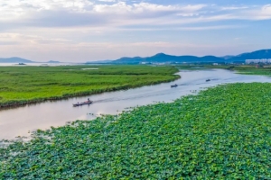 大省挑大梁·綠色先行丨不見“竿連竿” 再現(xiàn)“水連天” 東平湖建立專業(yè)化全民“護湖”