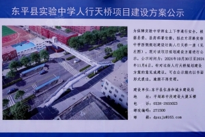 位置在這里！東平縣實驗中學人行天橋項目建設方案來了！