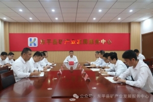 縣礦產(chǎn)業(yè)發(fā)展服務中心召開重點工作部署會議