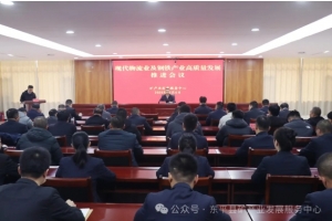 縣礦產業(yè)發(fā)展服務中心召開現(xiàn)代物流業(yè)及鋼鐵產業(yè)高質量發(fā)展工作推進會議