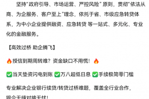 山東東原中小企業(yè)服務(wù)有限公司